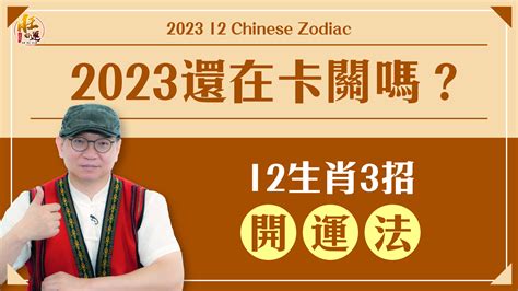 2023懷孕生肖|2023流年運勢：危機就是轉機，12生肖完整解析